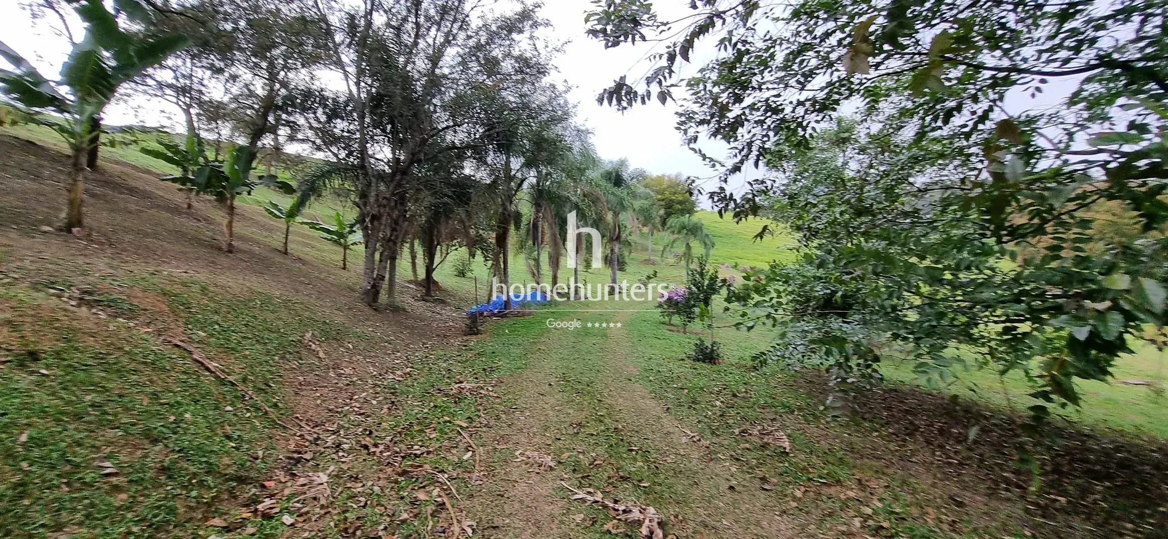 Terreno, 2 hectares - Foto 16