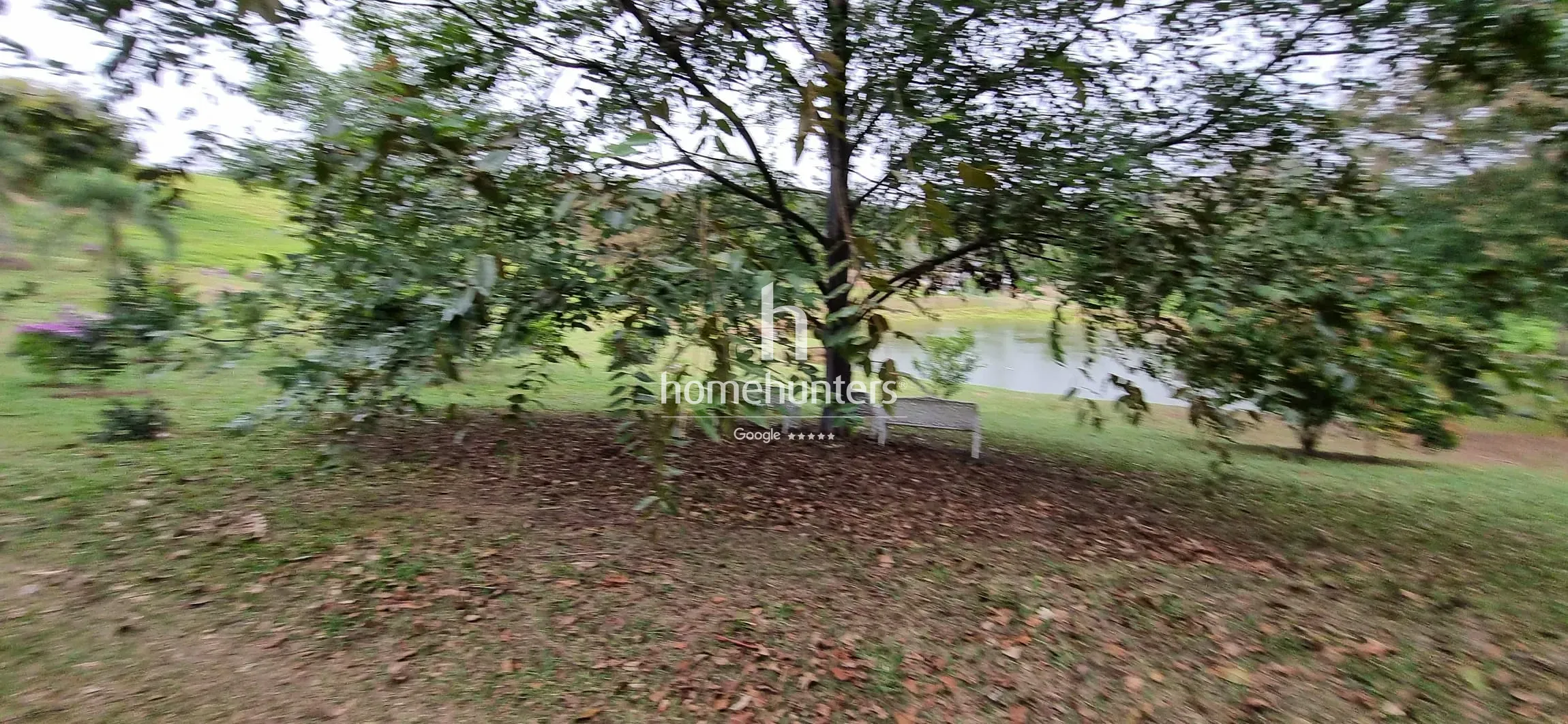 Terreno, 2 hectares - Foto 30