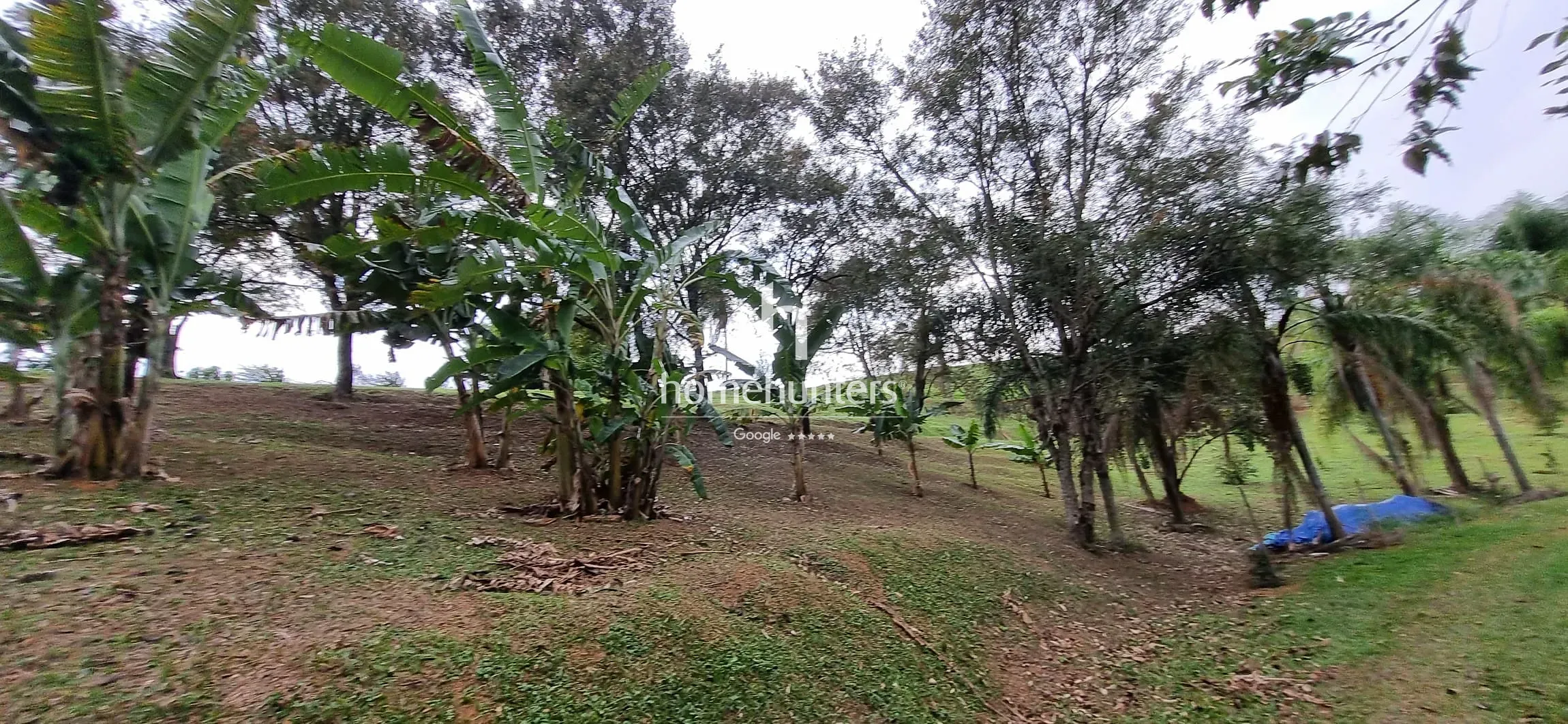 Terreno, 2 hectares - Foto 19