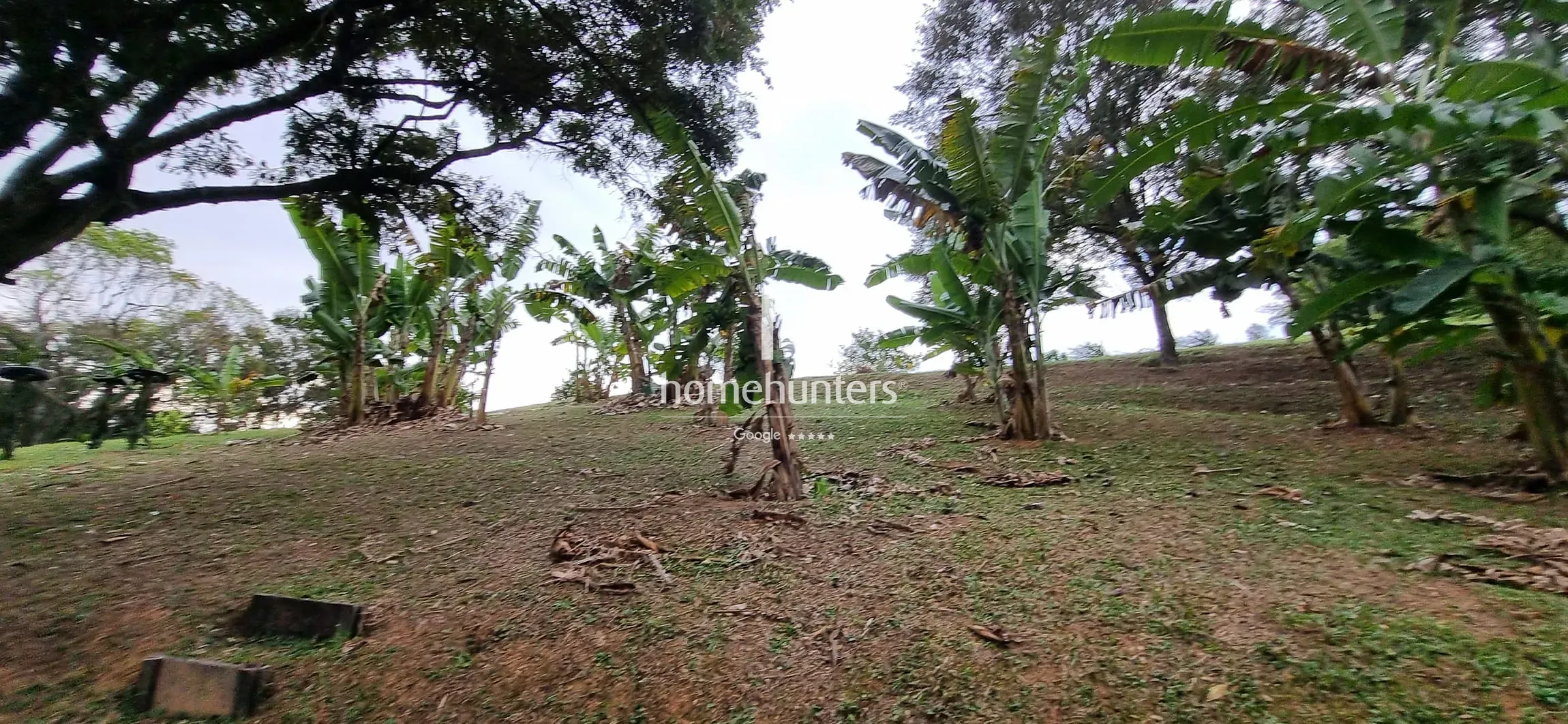 Terreno, 2 hectares - Foto 20