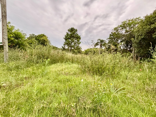 Terreno com 916m², à venda, no bairro Laranjal em Pelotas