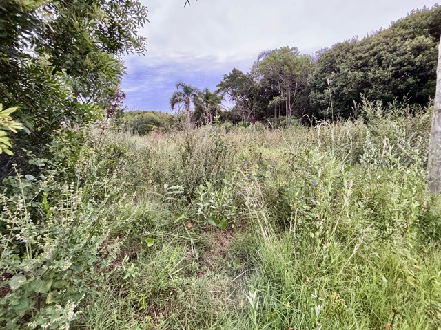 Terreno com 916m², à venda, no bairro Laranjal em Pelotas