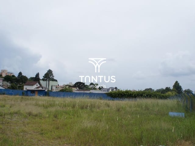 Terreno à venda, no bairro Tingui em Curitiba