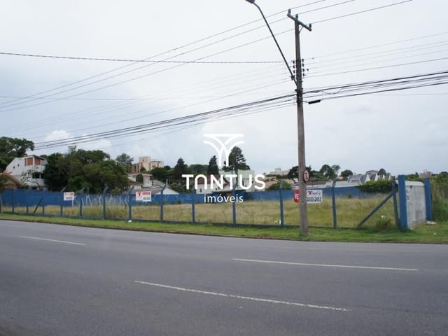 Terreno à venda, no bairro Tingui em Curitiba