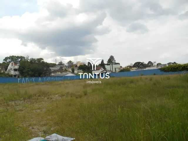 Terreno à venda, no bairro Tingui em Curitiba