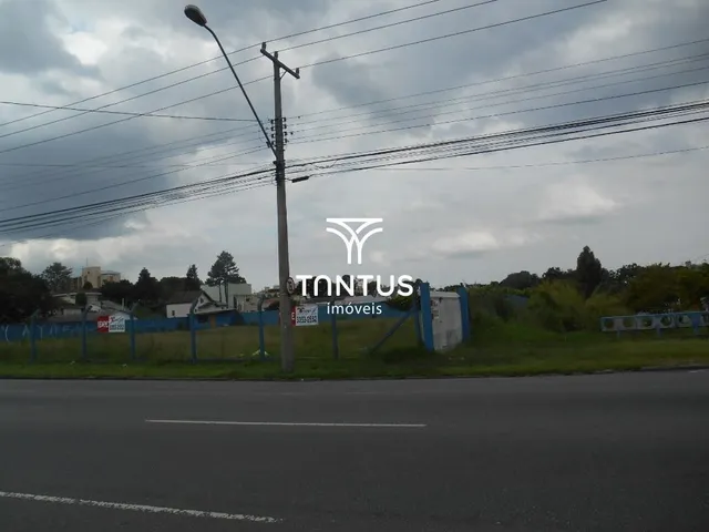Terreno à venda, no bairro Tingui em Curitiba