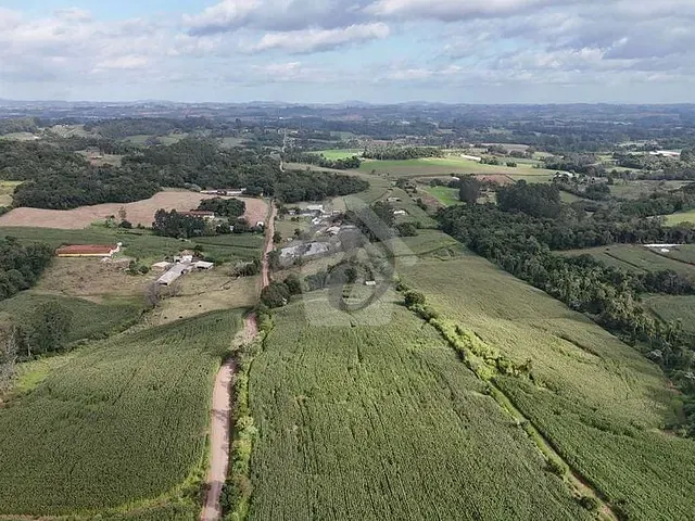 Terreno com 20000m², à venda, no bairro Linha Wink em Teutônia