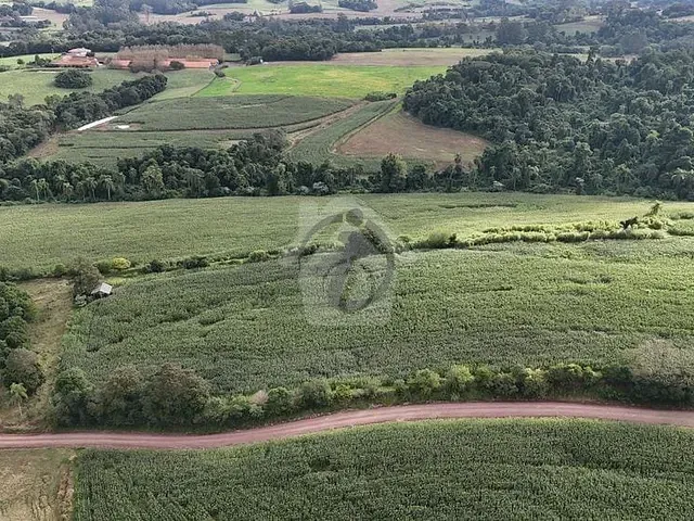 Terreno com 20000m², à venda, no bairro Linha Wink em Teutônia
