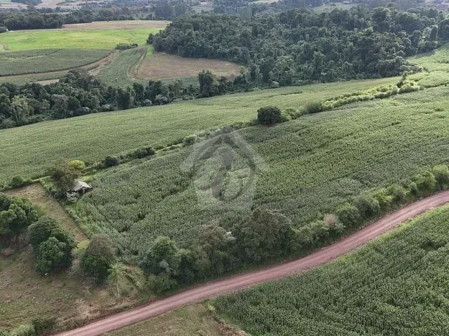 Terreno com 20000m², à venda, no bairro Linha Wink em Teutônia