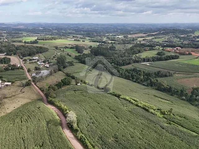 Terreno com 20000m², à venda, no bairro Linha Wink em Teutônia