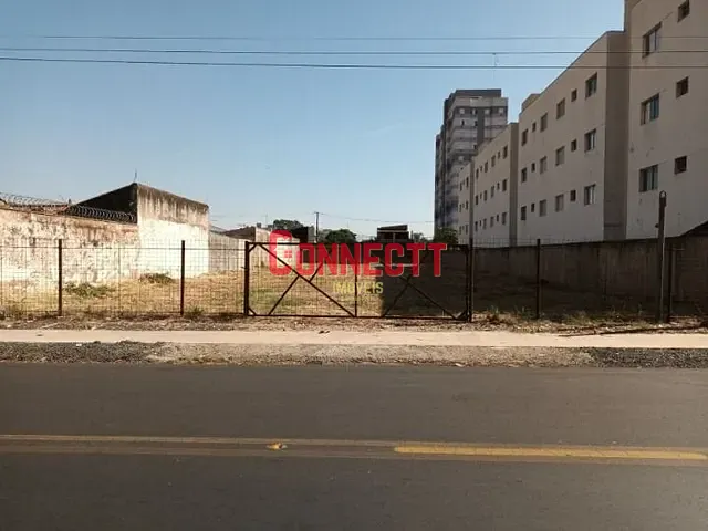 Terreno com 1240m², à venda, no bairro Vila Albertina em Ribeirão Preto