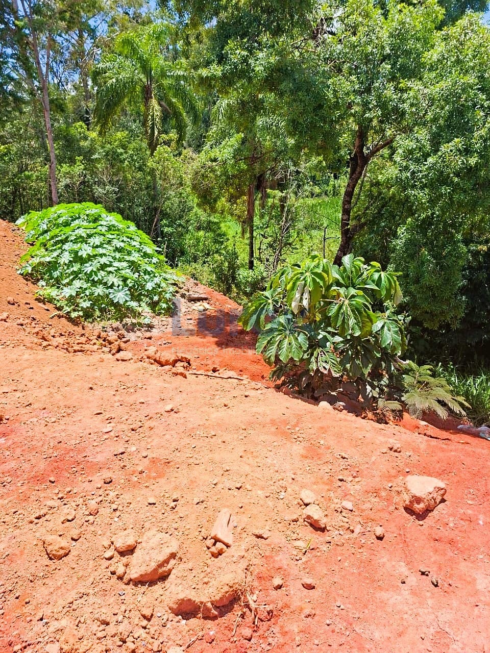 Terreno, 362 m² - Foto 6