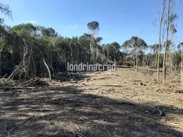 Terreno com 27772m², à venda, no bairro Zona Rural em Almirante Tamandaré
