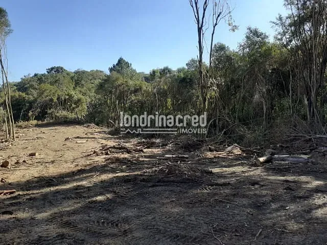 Terreno com 27772m², à venda, no bairro Zona Rural em Almirante Tamandaré