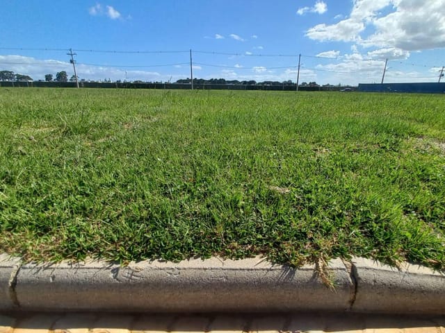 Terreno com 313m², à venda, no bairro Laranjal em Pelotas