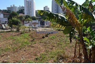 Terreno, 4691 m² - Foto 6