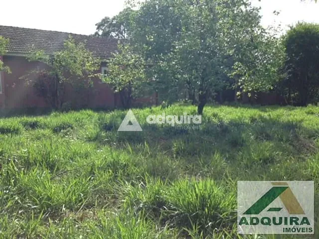 Terreno com 3476m², à venda, no bairro Ronda em Ponta Grossa
