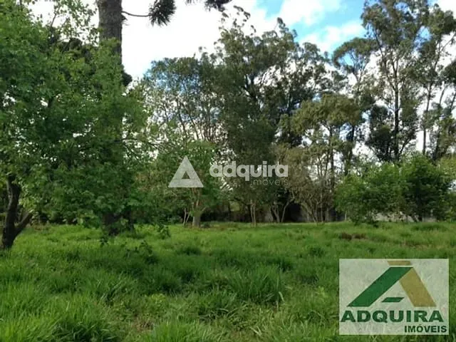 Terreno com 3476m², à venda, no bairro Ronda em Ponta Grossa
