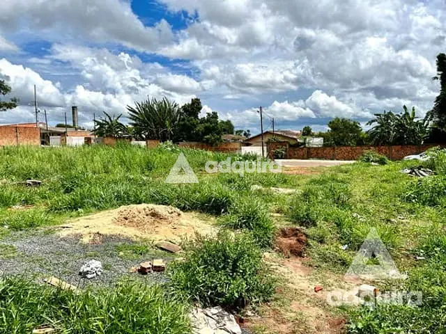 Terreno com 377m², à venda, no bairro Neves em Ponta Grossa