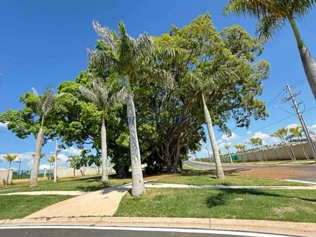 Terreno com 480m², à venda, no bairro Jardim Conceição (Sousas) em Campinas