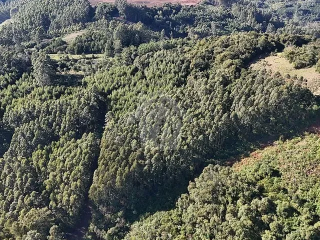 Terreno com 44000m², à venda, no bairro Bela Vista em Brochier