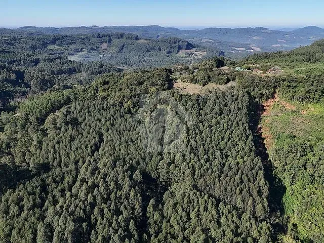 Terreno com 44000m², à venda, no bairro Bela Vista em Brochier