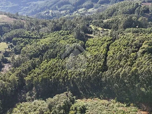 Terreno com 44000m², à venda, no bairro Bela Vista em Brochier