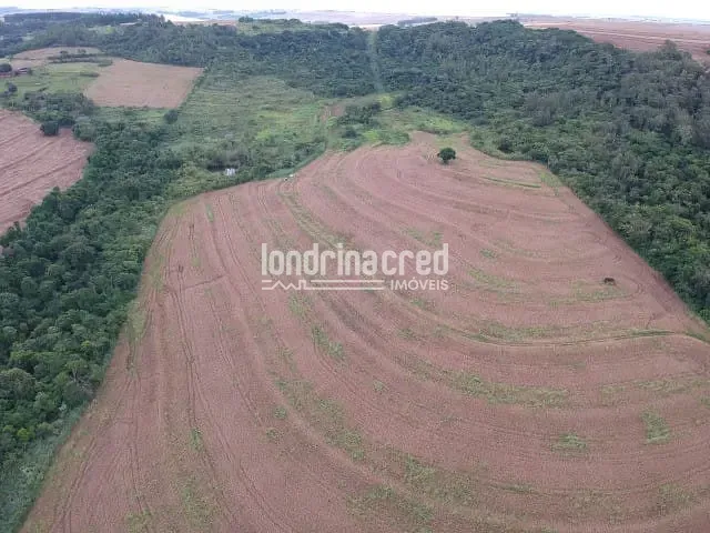Terreno com 20000m², à venda, no bairro Parque Industrial em Maringá