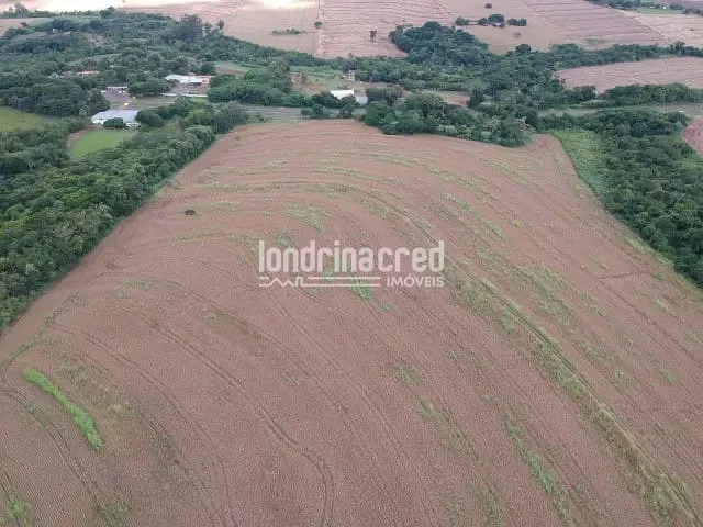 Terreno com 20000m², à venda, no bairro Parque Industrial em Maringá