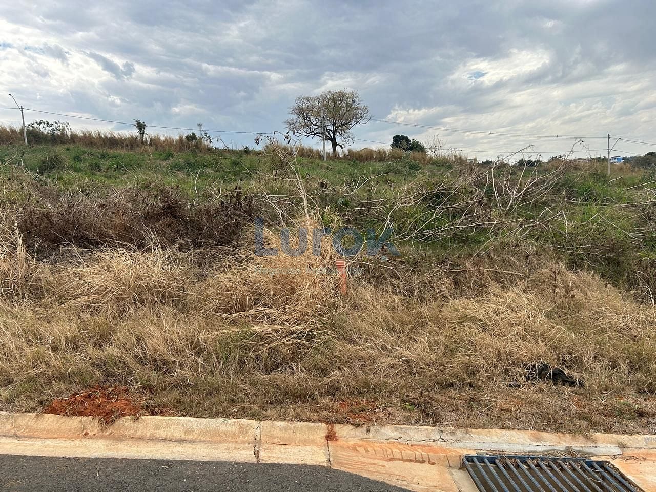 Terreno, 250 m² - Foto 3