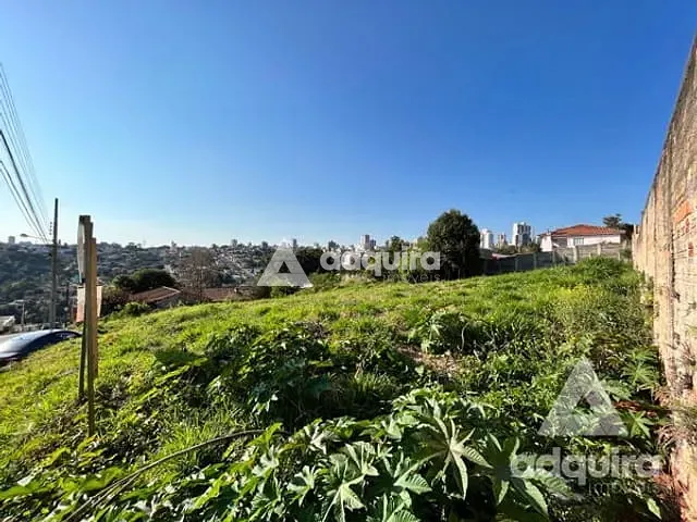 Terreno com 462m², à venda, no bairro Estrela em Ponta Grossa