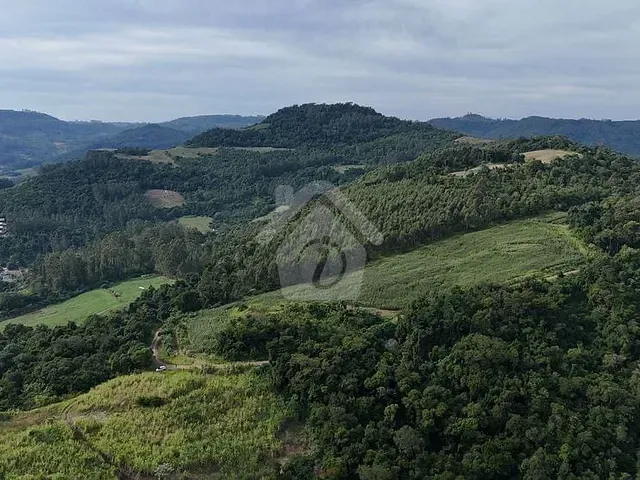 Terreno com 40000m², à venda, no bairro Linha Catarina em Teutônia
