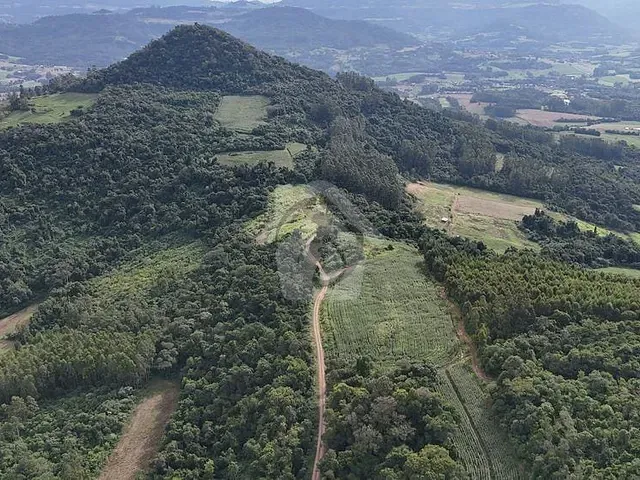 Terreno com 40000m², à venda, no bairro Linha Catarina em Teutônia