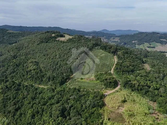 Terreno com 40000m², à venda, no bairro Linha Catarina em Teutônia