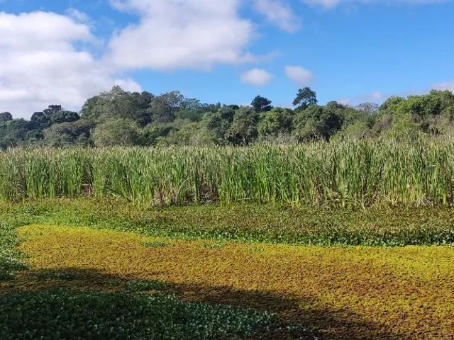 Terreno à venda, no bairro Umbará em Curitiba
