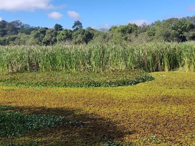 Terreno à venda, no bairro Umbará em Curitiba