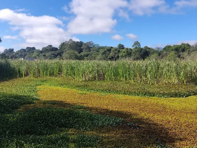 Terreno à venda, no bairro Umbará em Curitiba