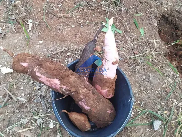 Terreno com 474m², à venda, no bairro Ipiranga em Guararema