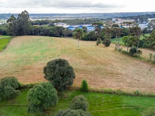 Terreno à venda, no bairro Zacarias em São José Dos Pinhais