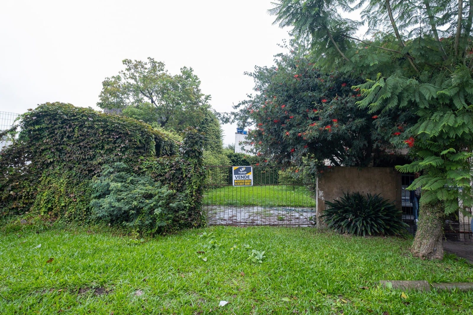 Terreno à venda nas Três Vendas, Pelotas - 186 m² de área total, com 8 metros de frente e todo murado.