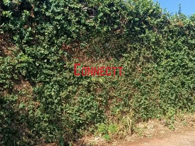 Terreno com 270m², à venda, no bairro Parque dos Bandeirantes em Ribeirão Preto