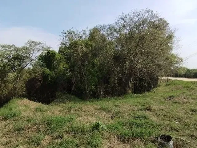 Terreno à venda, no bairro Roça Grande em Colombo