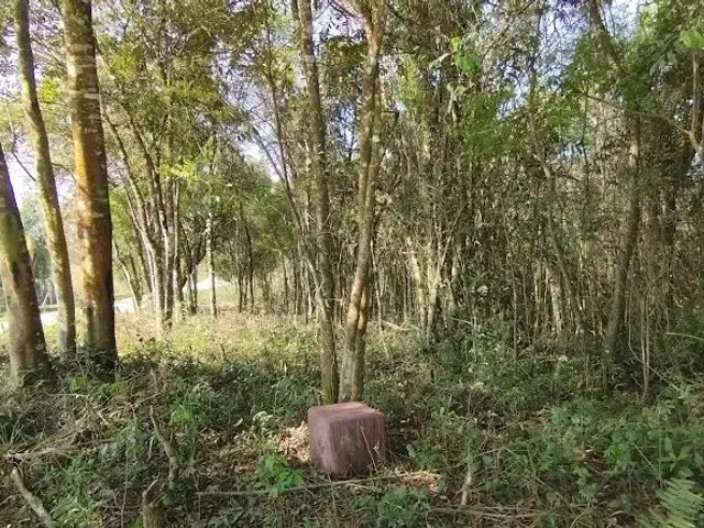 Terreno à venda, no bairro Roça Grande em Colombo