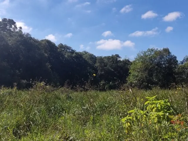 Terreno à venda, no bairro Umbará em Curitiba