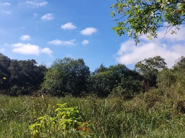 Terreno à venda, no bairro Umbará em Curitiba