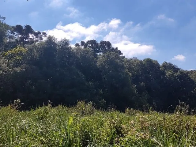 Terreno à venda, no bairro Umbará em Curitiba