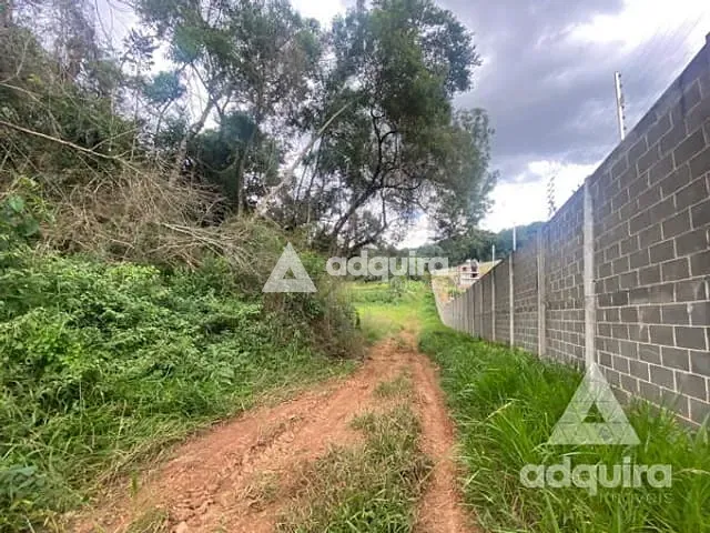 Terreno com 76345m², à venda, no bairro Colônia Dona Luíza em Ponta Grossa