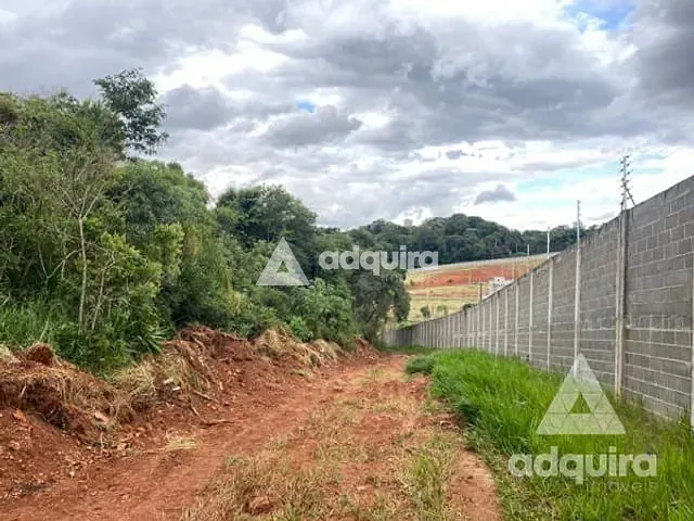 Terreno com 76345m², à venda, no bairro Colônia Dona Luíza em Ponta Grossa