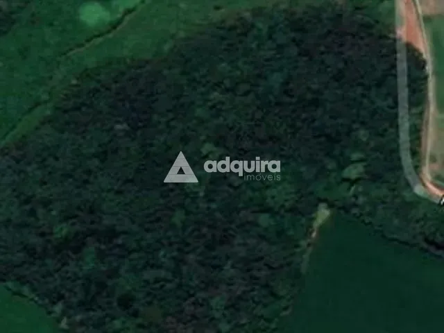Terreno com 76345m², à venda, no bairro Colônia Dona Luíza em Ponta Grossa