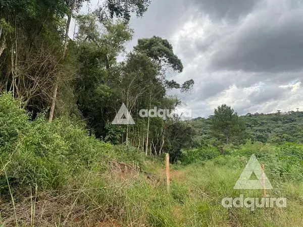 Terreno, 8 hectares - Foto 6